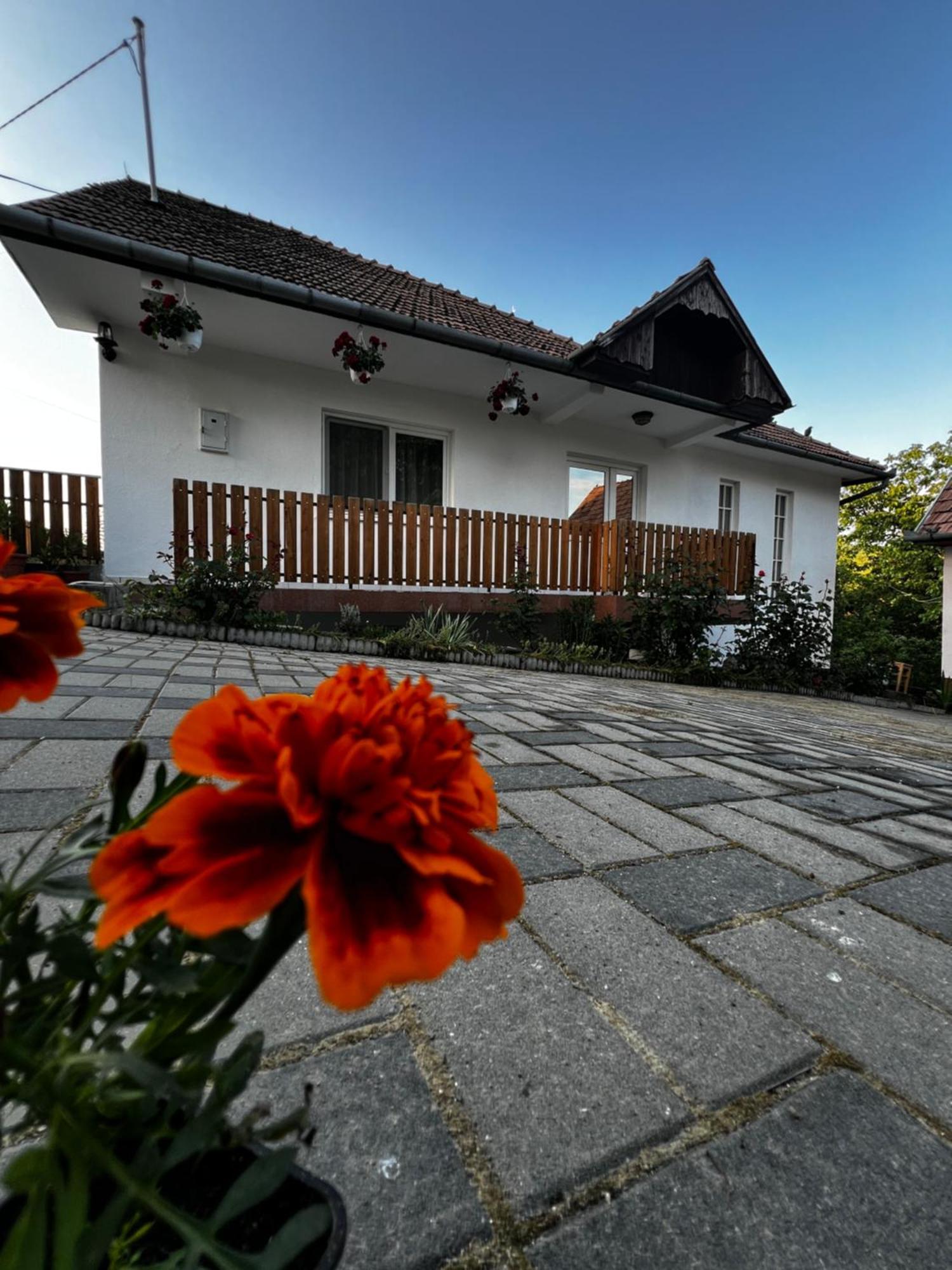 Balázs Vendégház Lupeni  Esterno foto